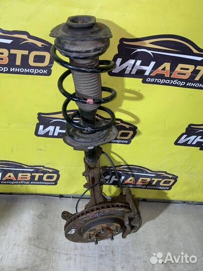 Кулак поворотный ниссан х треил т31