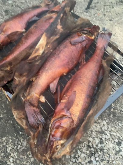 Коптильня нержавейка