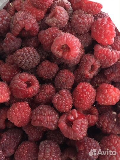 Малина замороженная