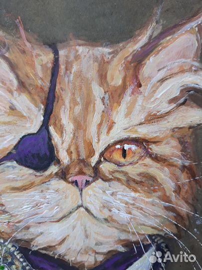 Портрет кота на заказ