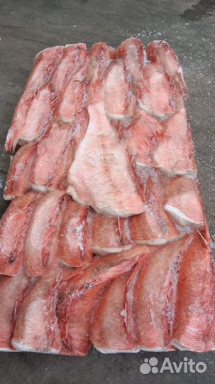 Рыба свежемороженая