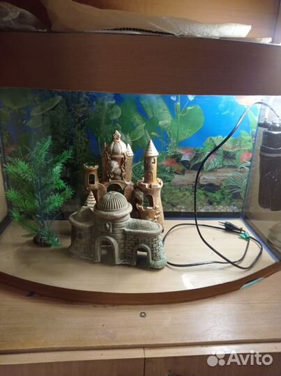 Аквариумы