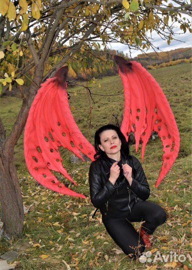 Крылья «Горгульи»