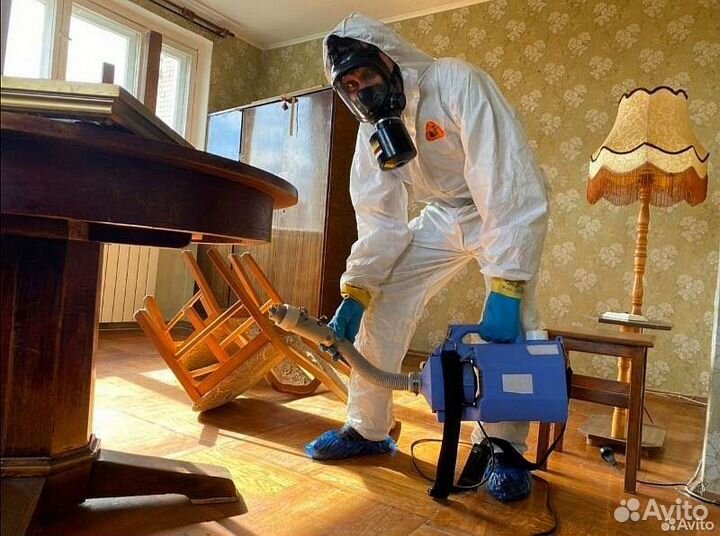 Уничтожение клопов тараканов мышей блох клещей