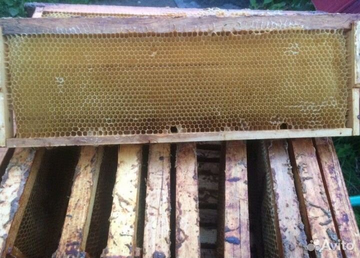 Суш полурамки магазинные