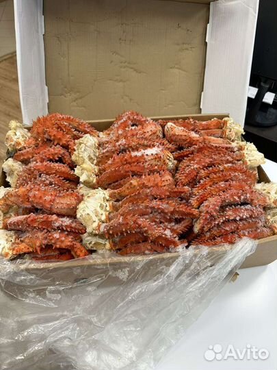 Краб колючий Камчатка