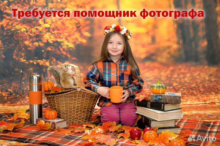 Ассистент фотографа