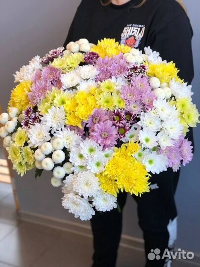Хризантема кустовая цветы оптом