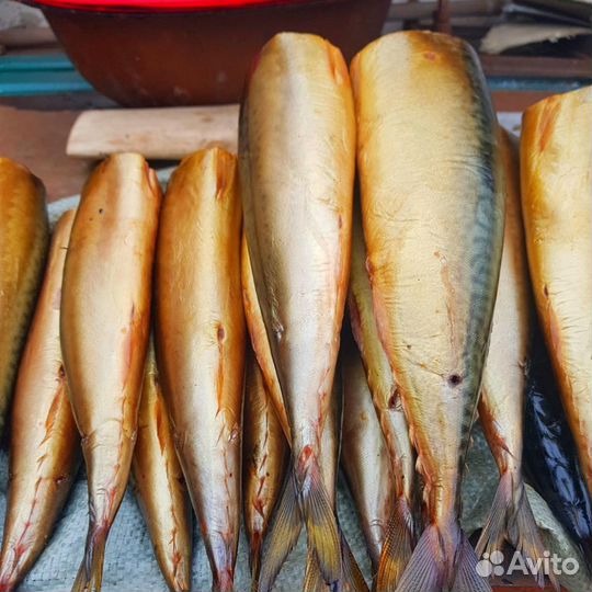 Коптильня с дымогенератором