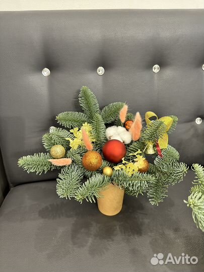 Новогодние композиции из нобилиса