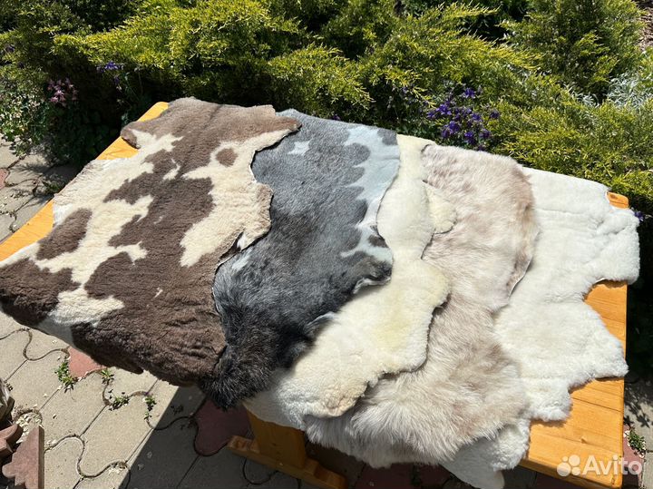 Овечья шкурка стриженная