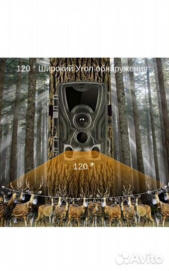 Охотничья камера