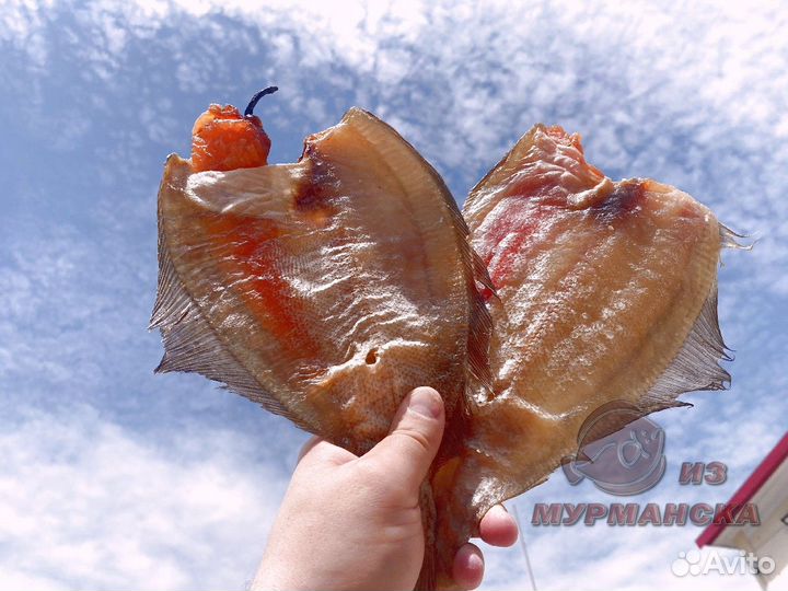 Камбала ерш