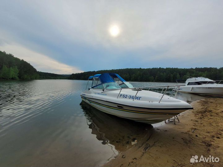 Ambassador 24