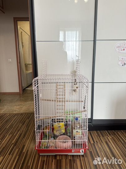 Клетка для среднего попугая