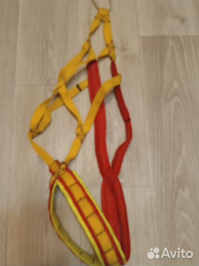 Шлейка для собаки, ездовая