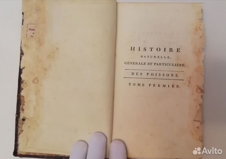 Книга 1801 год, первое прижизненное издание