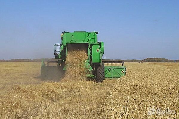 Разбрасыватель соломы Омский Экспериментальный Завод Tornado, 2023