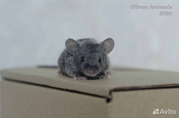 Мышки декоративные сатиновые. Мышь