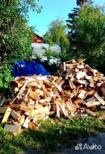 Дрова Береза в наличии в Выборге