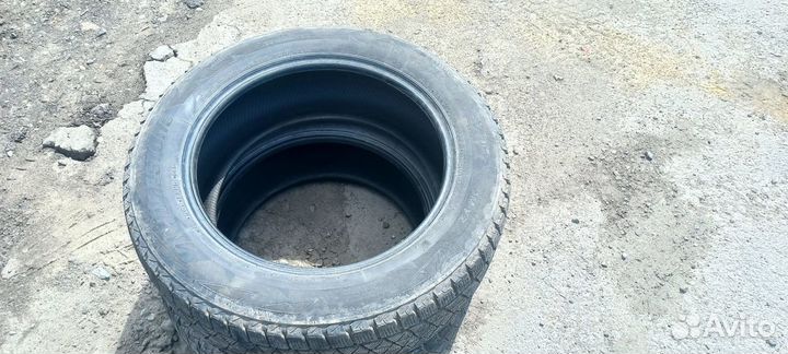 Bridgestone Blizzak DM-V2 225/60 R18