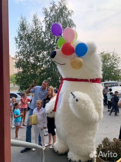 Аэромедведь, пневмокостюм медведя надувной костюм