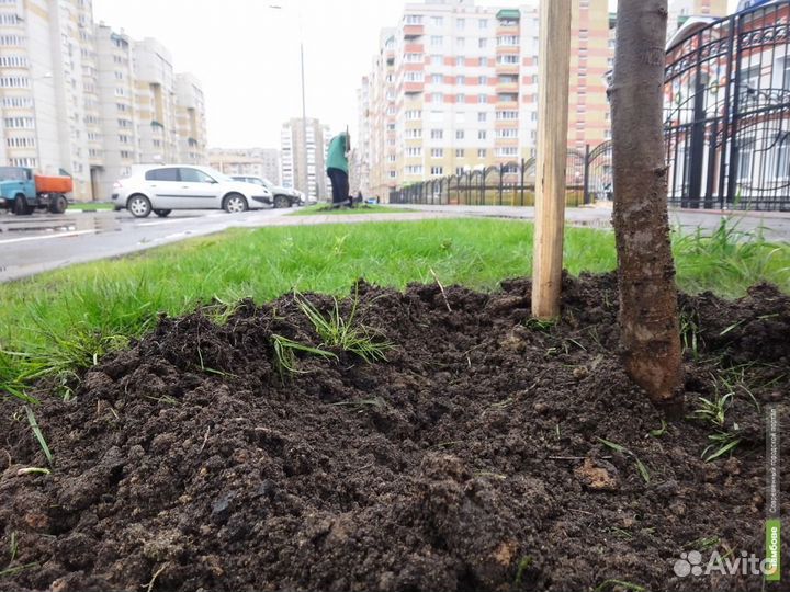 Перегной лежалый,чернозем шикарный,привезу,от 1т