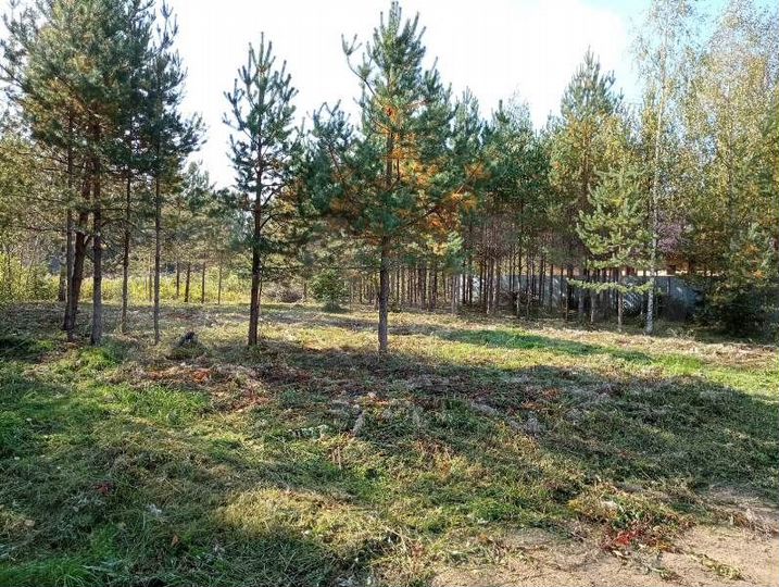 Участок 10 сот. (ИЖС)