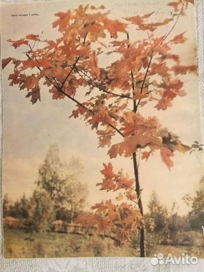 Журналы Работница 9/1959 и 8/1937