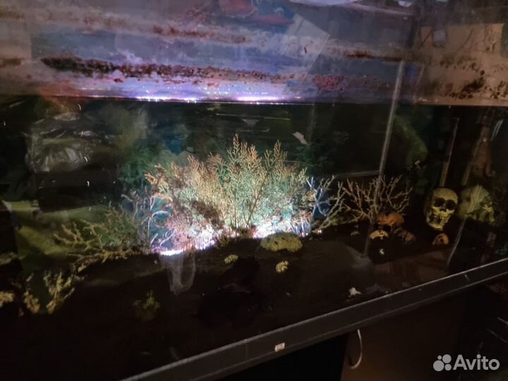 Аквариум