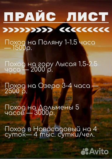Конные прогулки