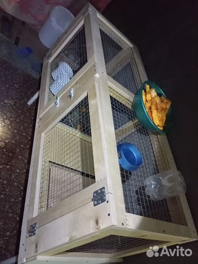 Гнездо с яйцесборником