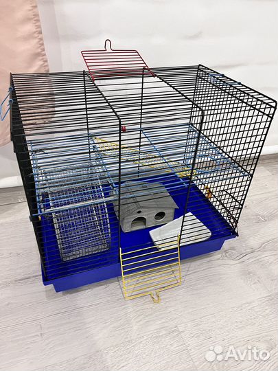 Сирийские хомячки