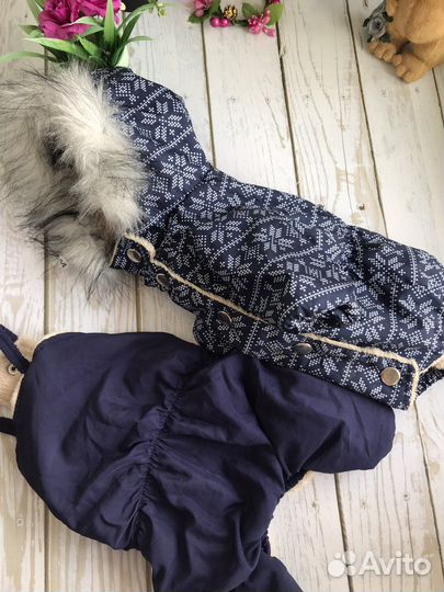 Костюм для собаки