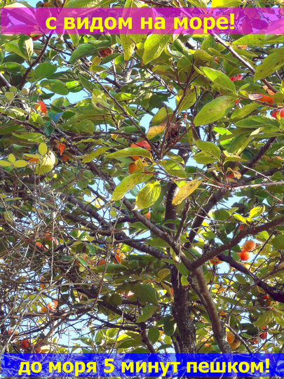 Участок 6 сот. (ИЖС)