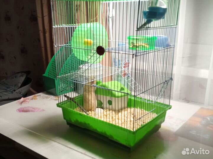 Хомячок с клеткой