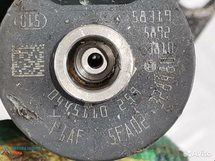 Форсунка Peugeot 206 рест. 2005 0445110259