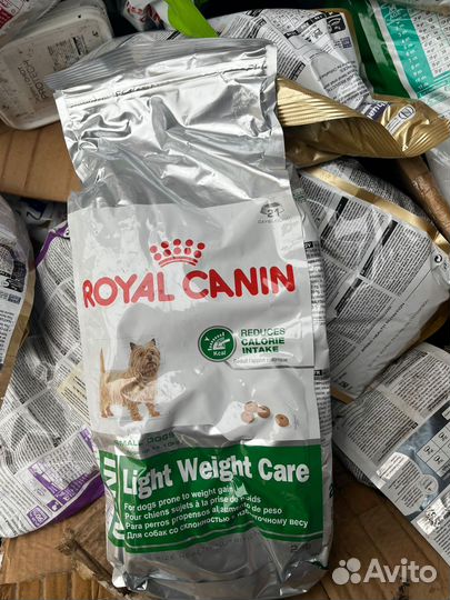 Корм для собак royal canin сухой