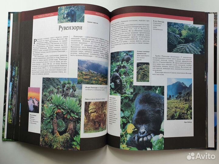 Книга - энциклопедия 