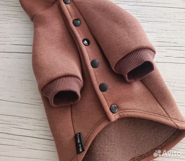 Одежда для собак