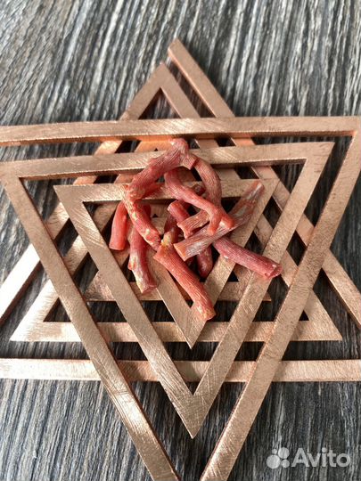 Красный коралл для Васту