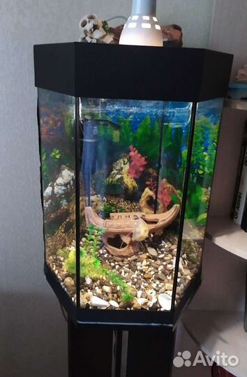 Аквариум
