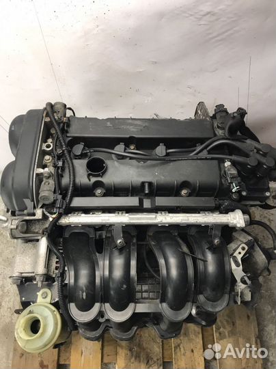 Двигатель Ford Focus 2 1.6 л 100 лс hxdа
