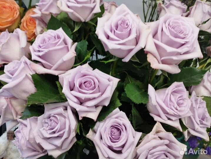 Розы эквадор