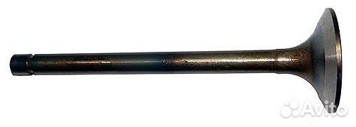 1221 Клапан впускной 260-1007014 (Д-245/260)