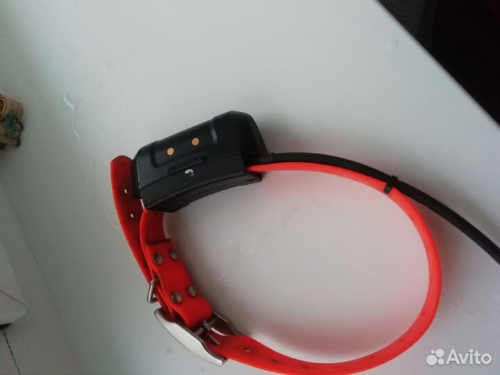 Garmin ошейник дс 40