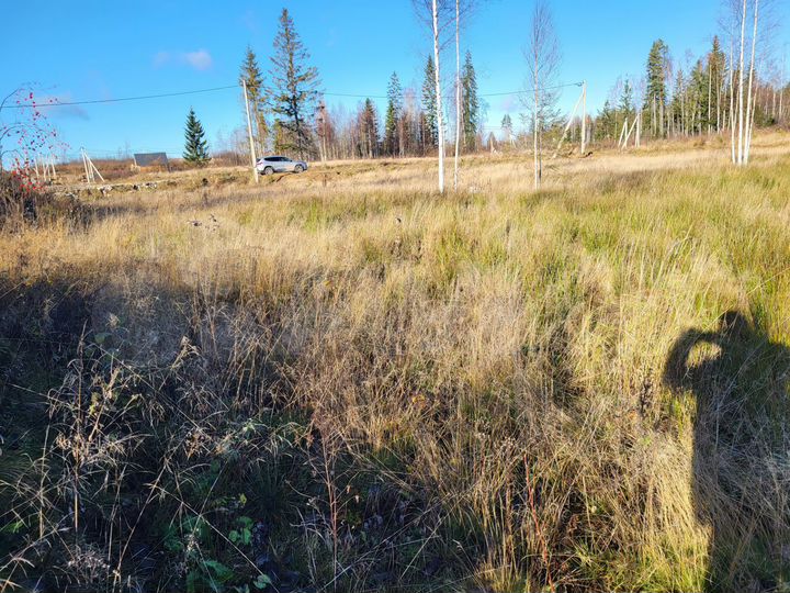 Участок 12 сот. (СНТ, ДНП)