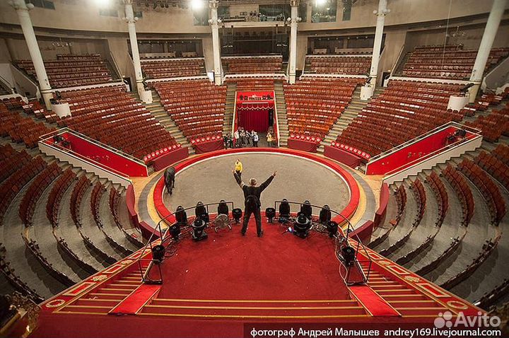 Билеты Цирк Никулина