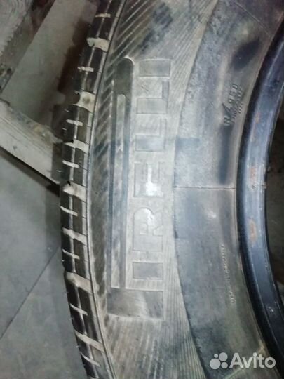 Pirelli P5000 Drago 215/65 R15