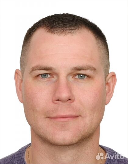 Заместитель руководителя